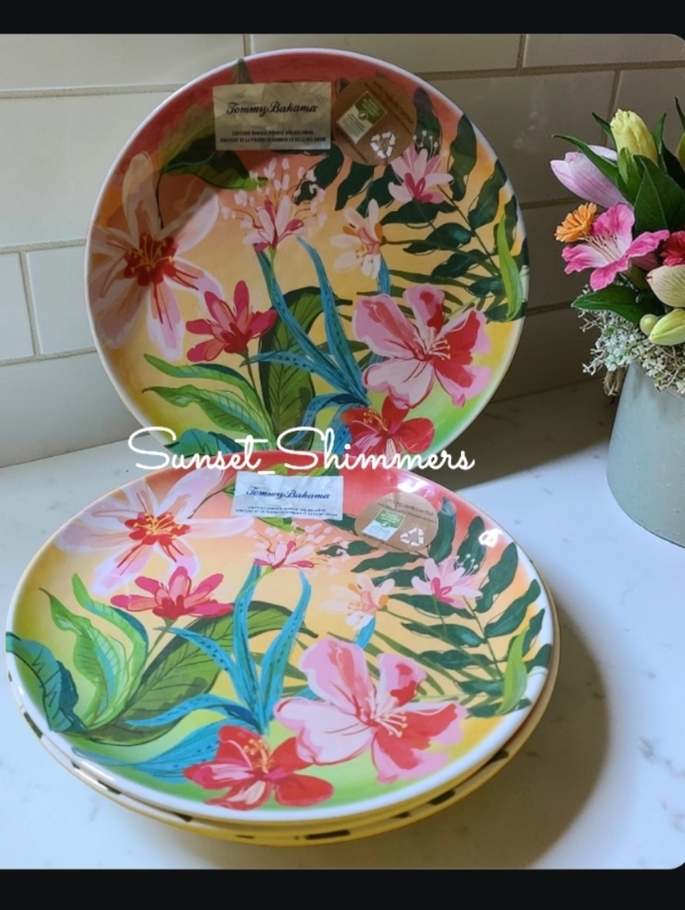 𝅺4pc Tommy Bahama Tropical Flower Melamine Dinner Plates Set New